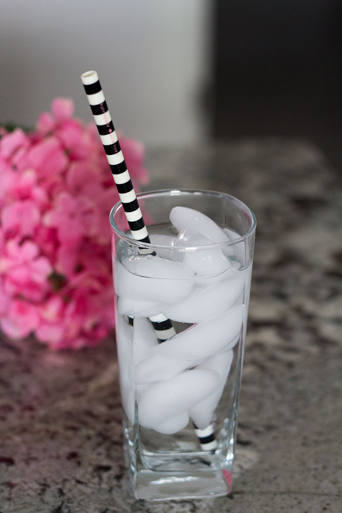 Kate Spade Acrylic Straws - A Slice of Style