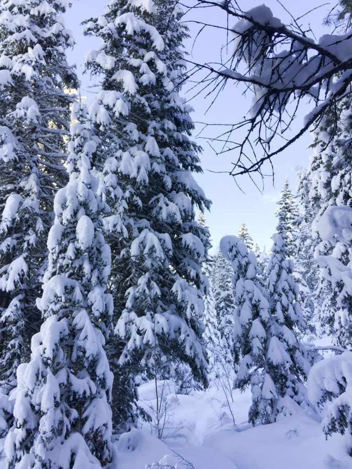 snow-hike-in-utah_6