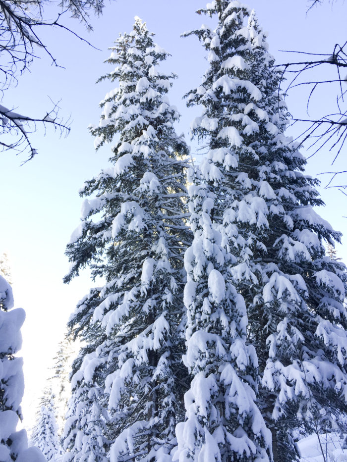 snow-hike-in-utah_7