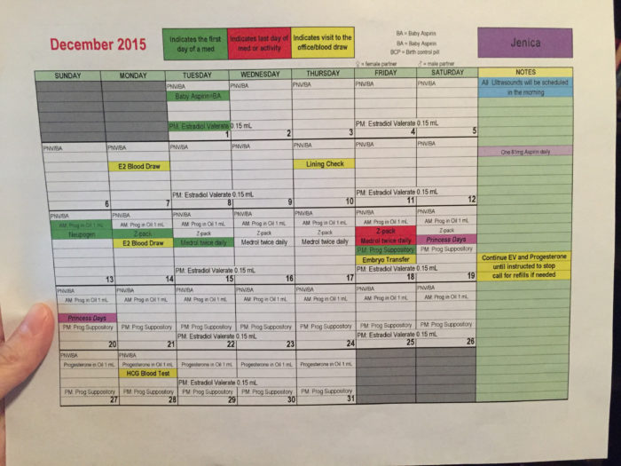 Infertility and IVF Q&A Part 1 featured by top infertility blog, A Slice of Style: image of an IVF timetable