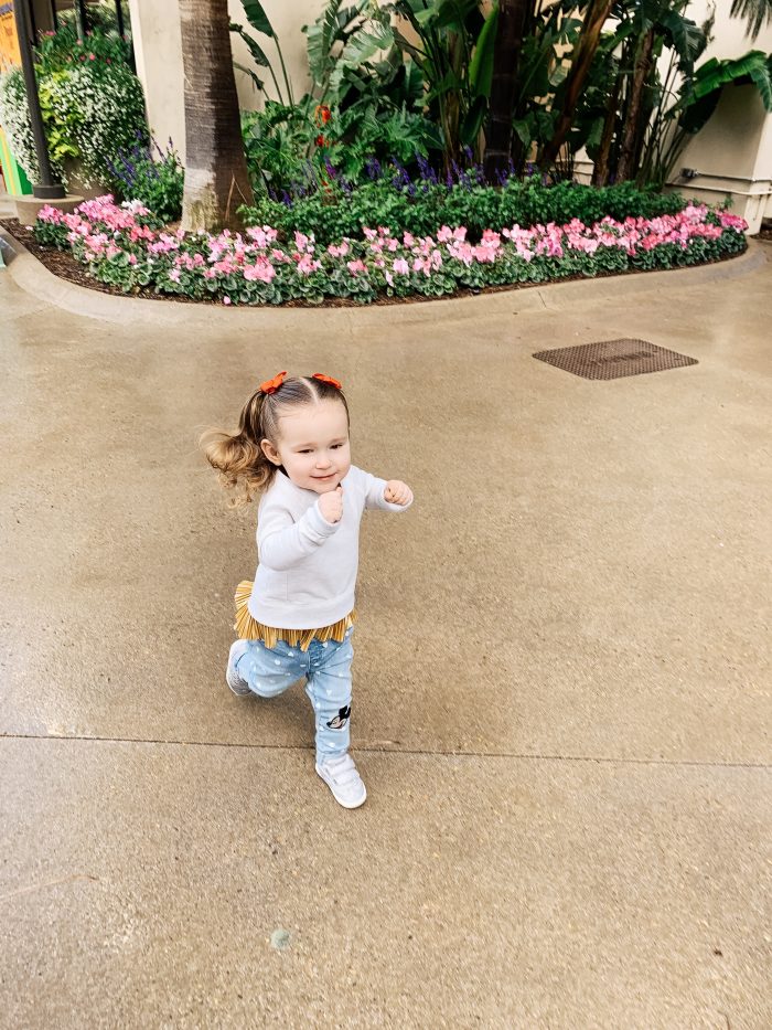 Disneyland with Toddlers featured by top US life and style blog A Slice of Style