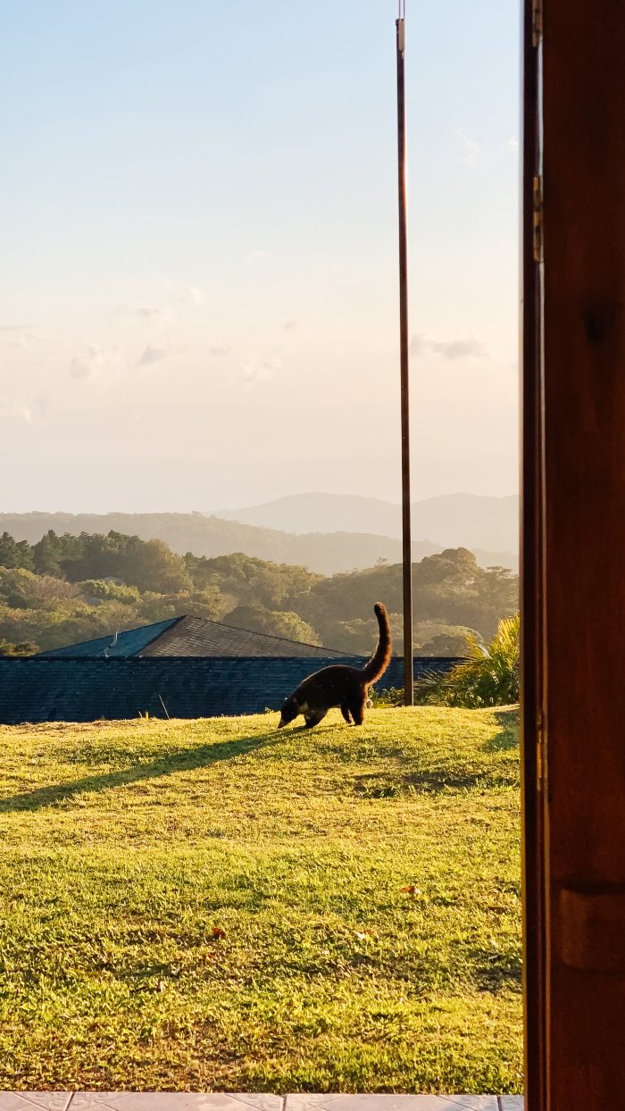 What to Do in Costa Rica: a Complete Travel Guide featured by top US life and style blog, A Slice of Style.