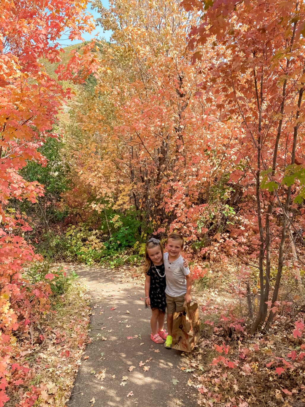 Outdoor Fall Activity Ideas